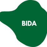 Article on Bida Local Government